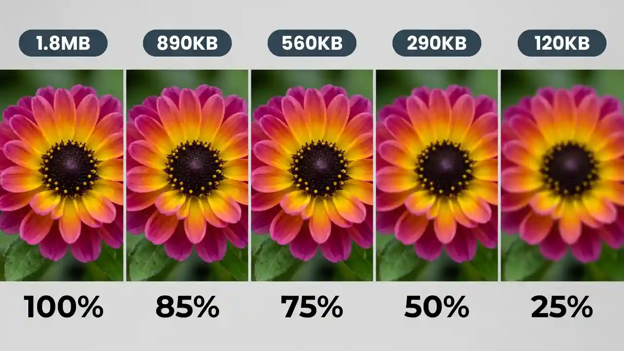How to Convert PNG to JPG Without Losing Quality